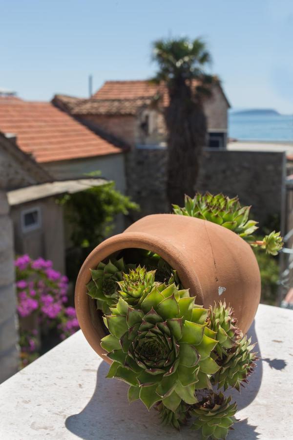 Amaizing Apartment Near Airport Kaštel Štafilić Eksteriør billede